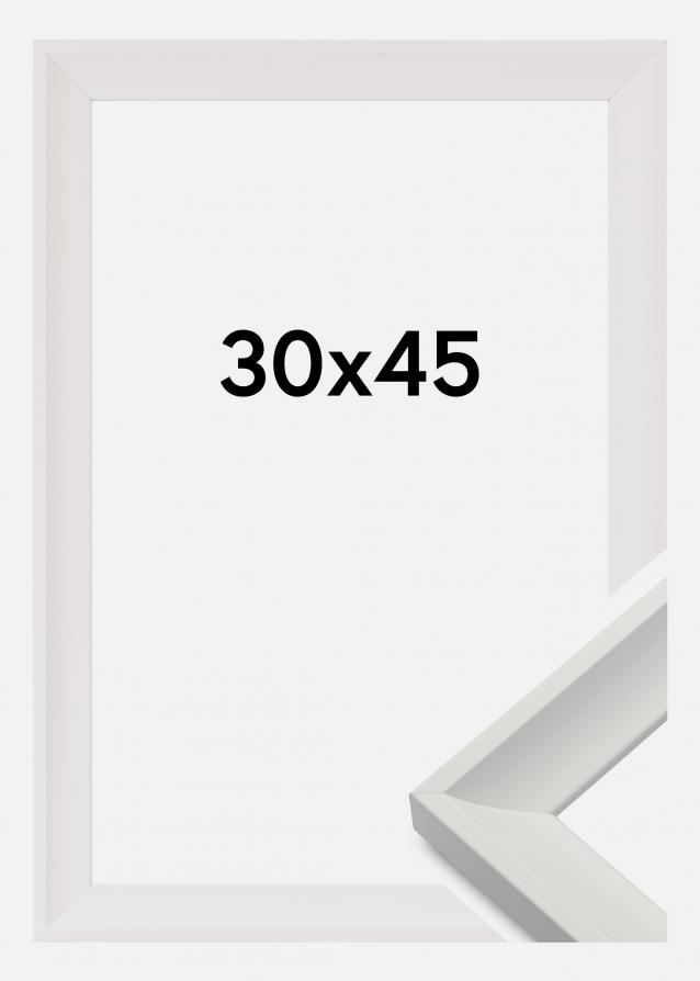 Kehys Öjaren Valkoinen 30x45 cm
