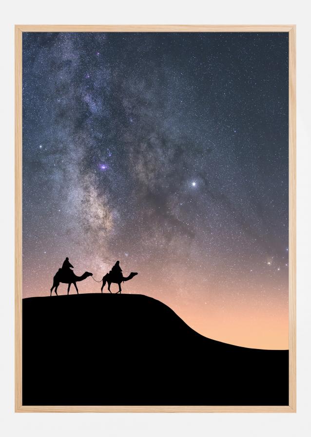 Camels Under The Stars Juliste