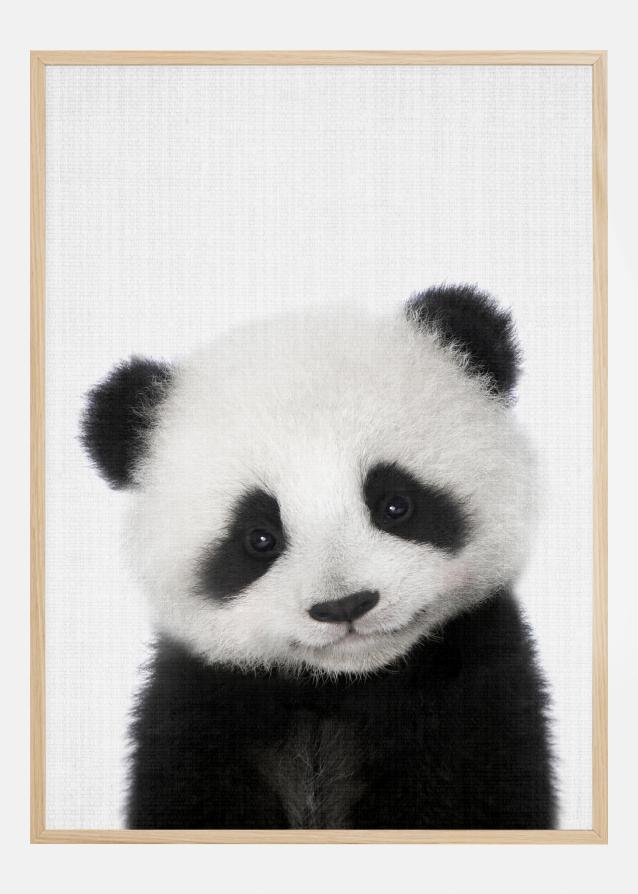 Peekaboo Baby Panda Juliste