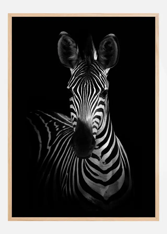 The Zebra Juliste