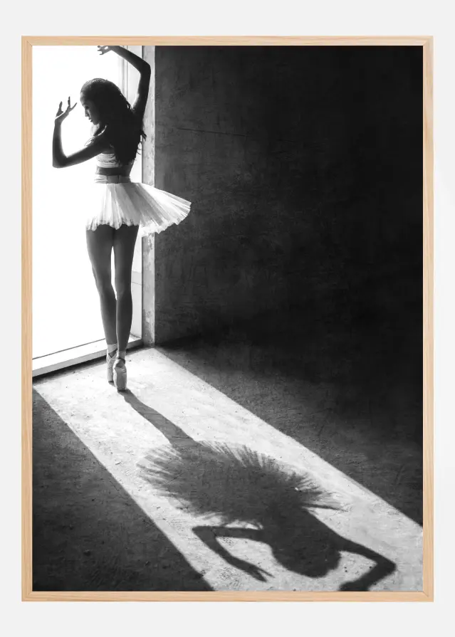 Shadow Dance Juliste