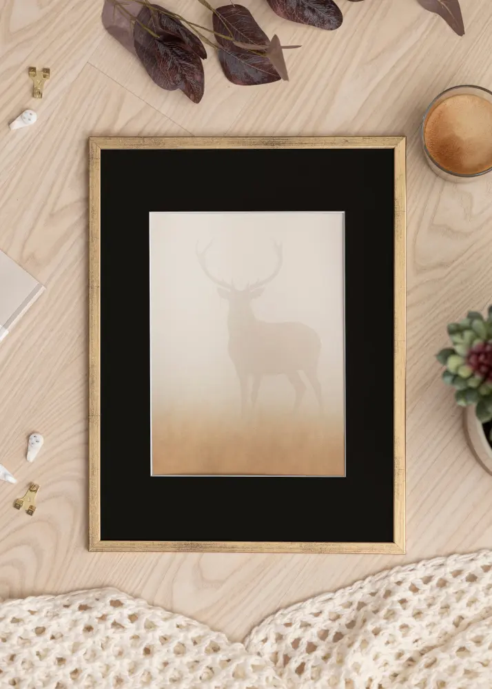 Kehys Galant Kulta 50x70 cm - Paspatuuri Musta 42x59,4 cm (A2)