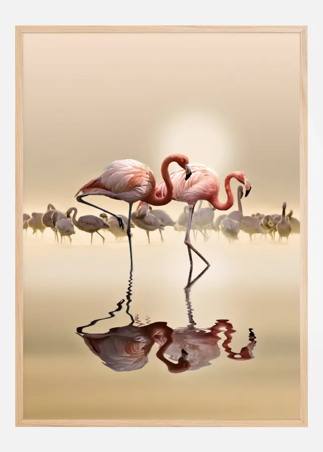 FLAMINGOS Juliste