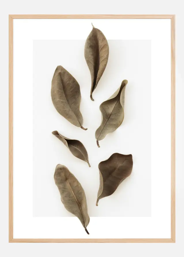 Dried Leaves Juliste