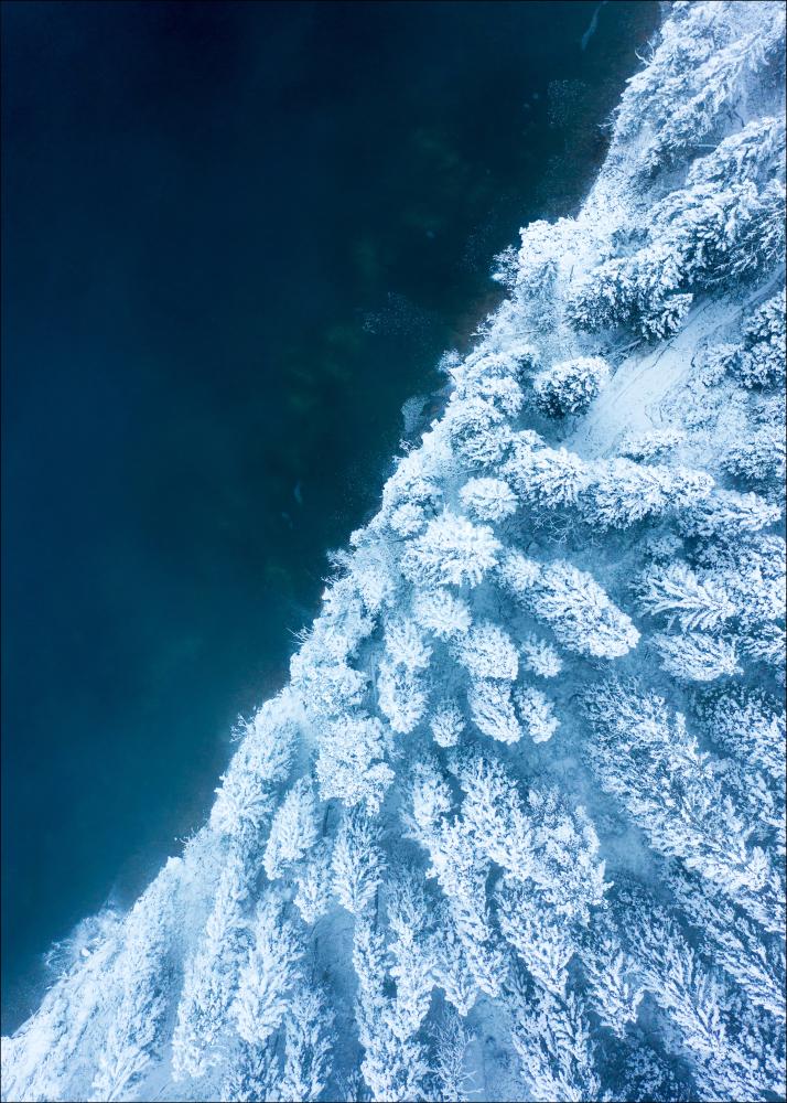 Frosty Forest Juliste