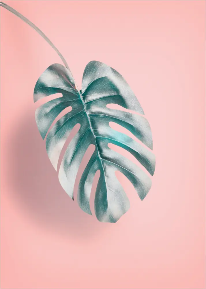 Leaf Juliste