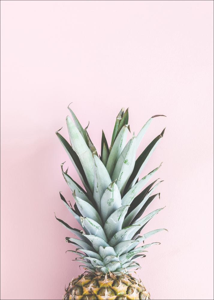 Pineapple Pink Juliste