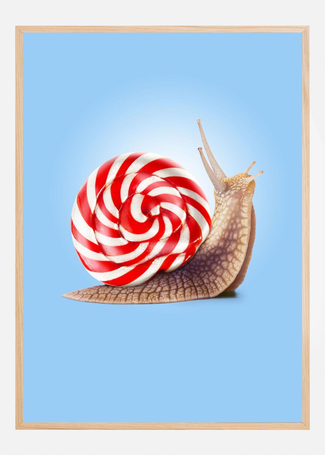 Product Image for Snail Candy Juliste (100x140 cm)