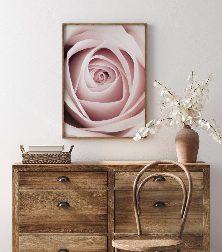 Pink Rose Juliste