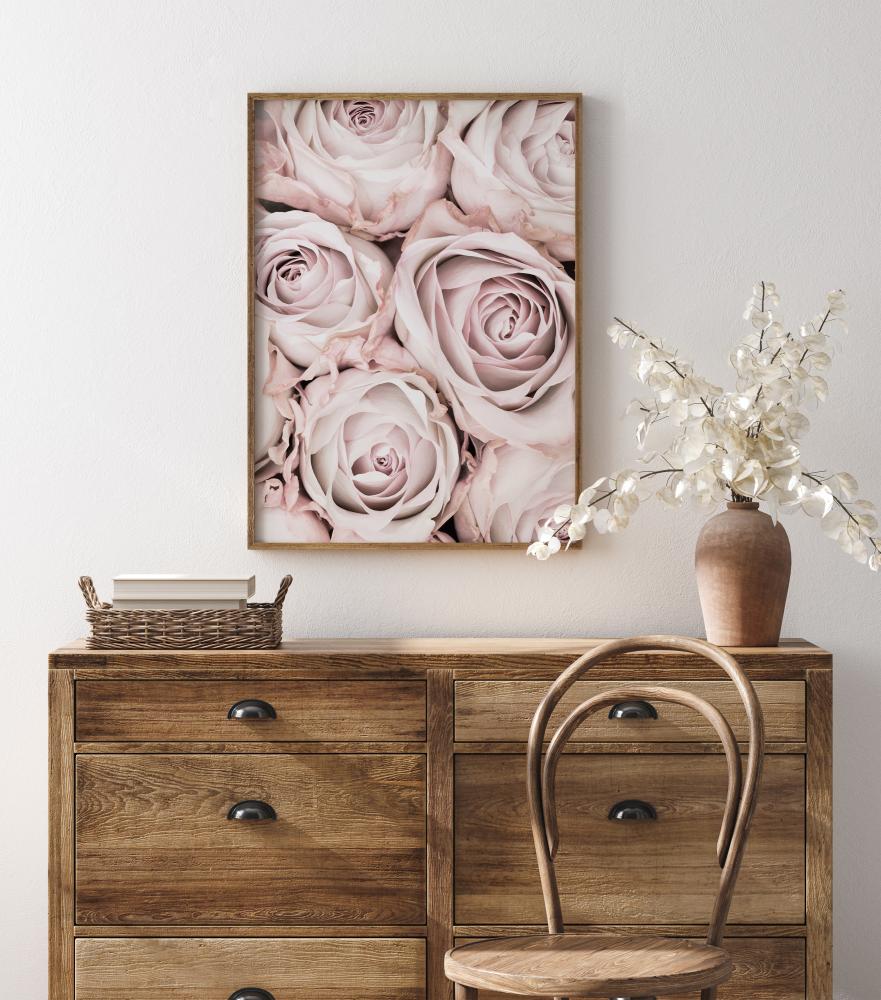 Pink Roses Juliste