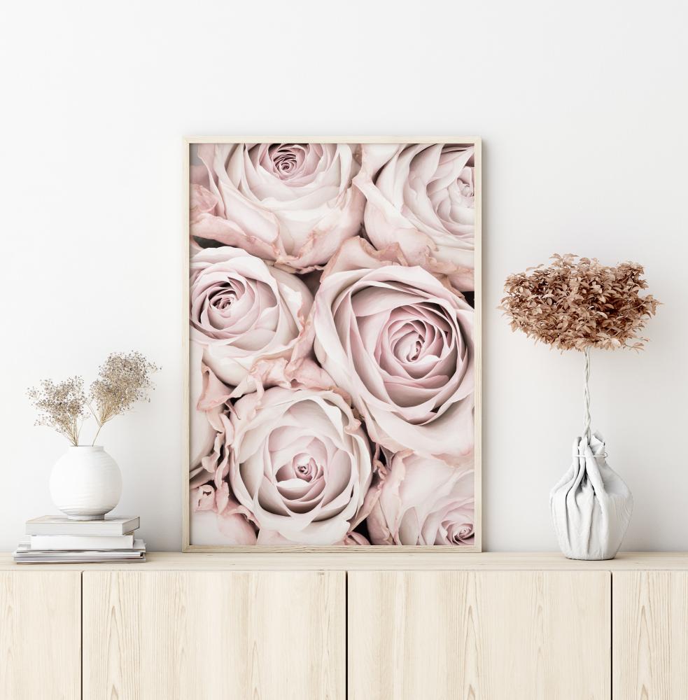 Pink Roses Juliste