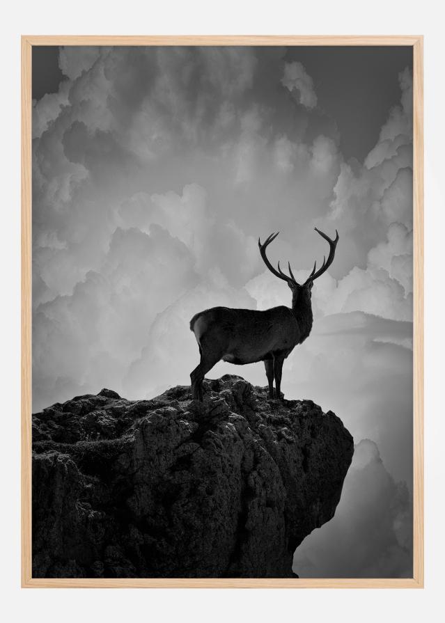 Black and White Deer Juliste