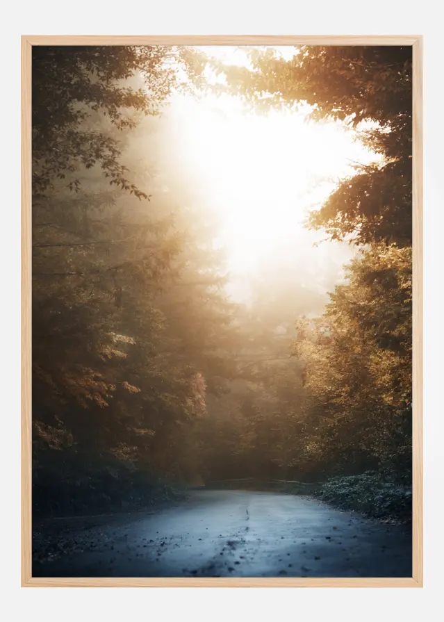 Autumn Misty Road Juliste