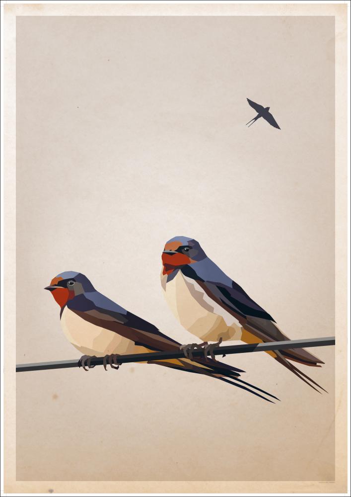 Swallows Juliste