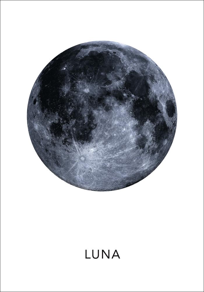 Luna Poster Juliste