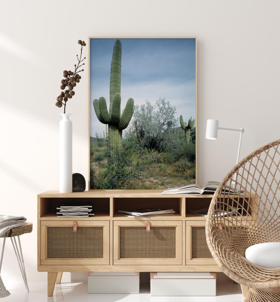 Cactus Land Juliste