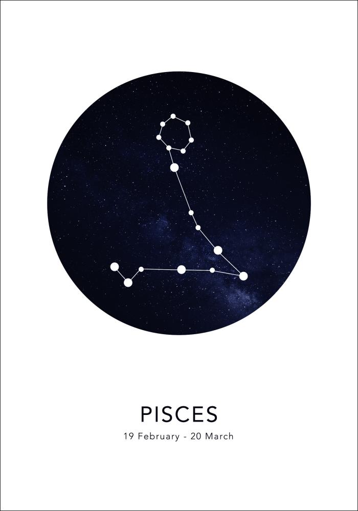 Pisces Juliste