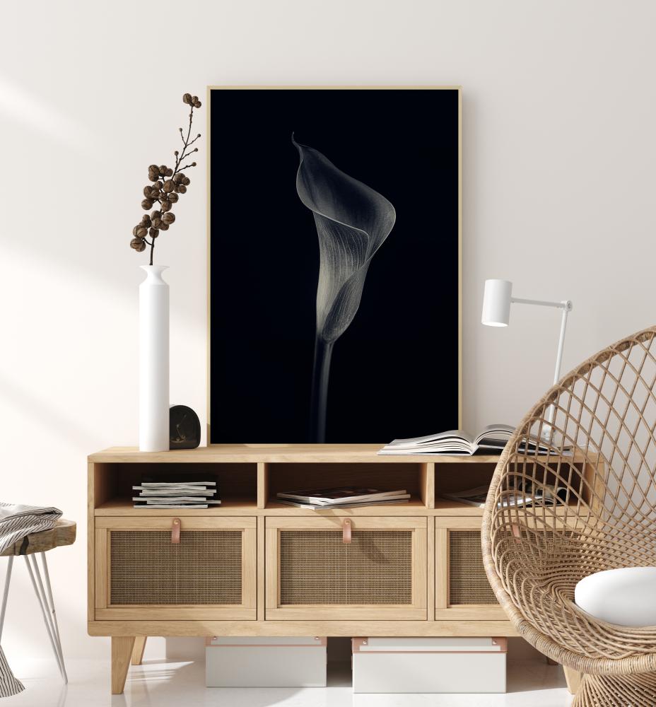 Calla Lily Juliste