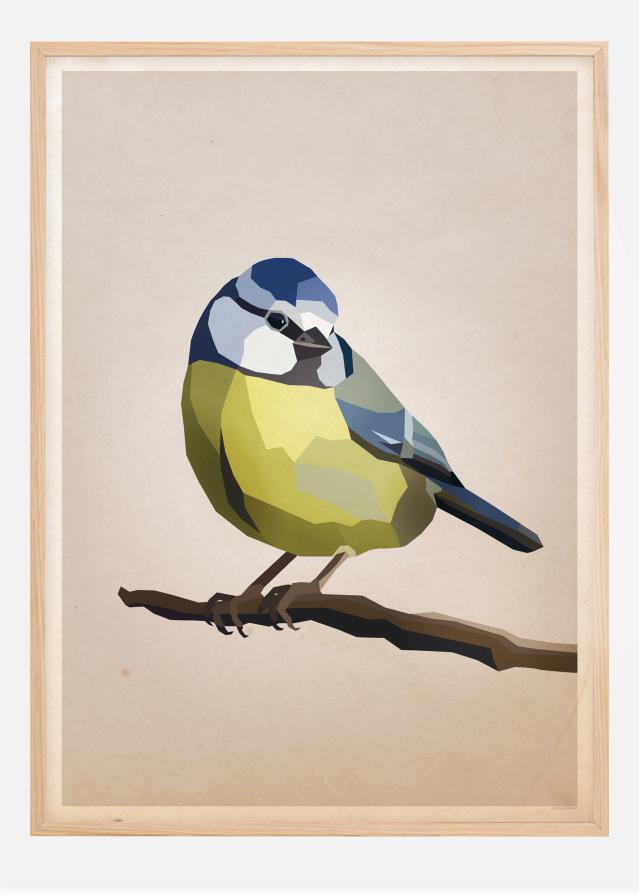 Blue tit Juliste