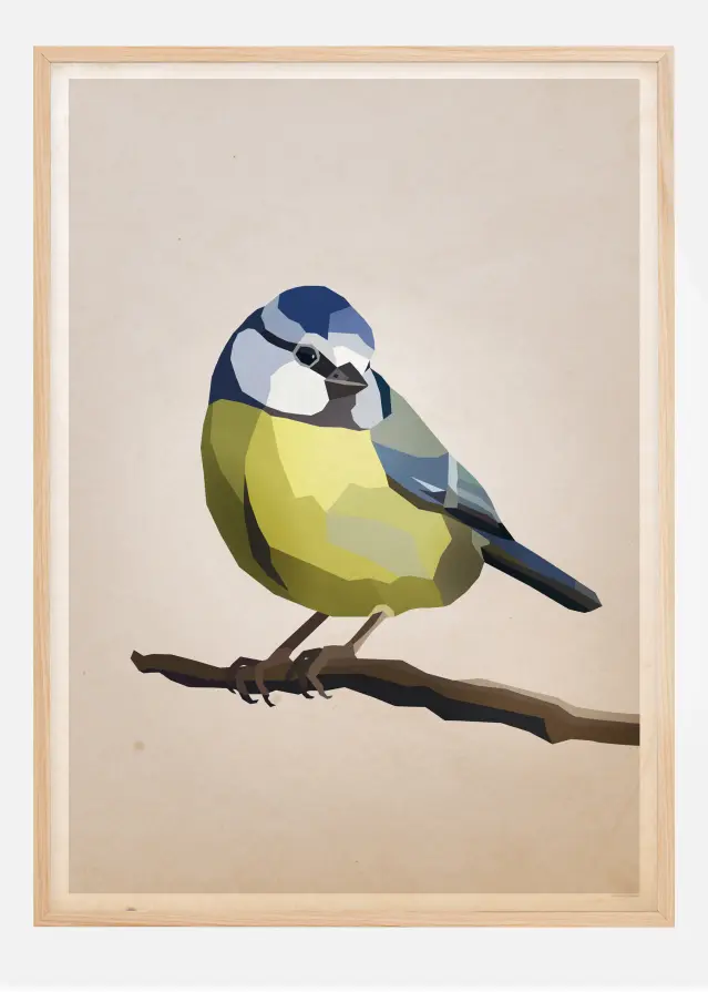 Blue tit Juliste