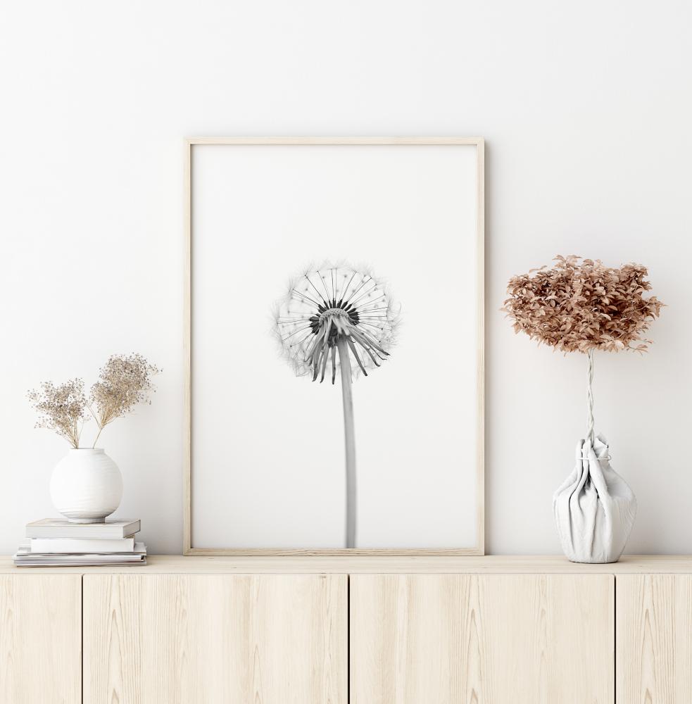 Dandelion Juliste