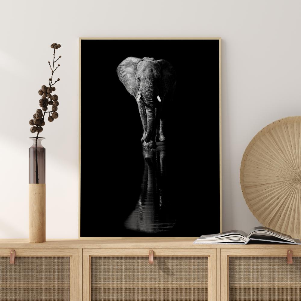 Elephant Juliste