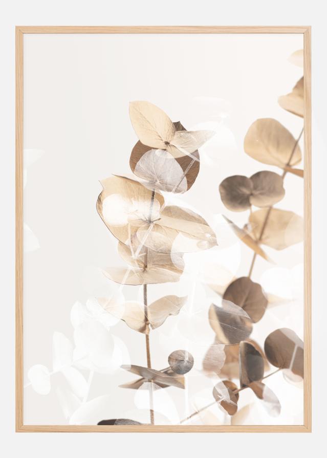 Eucalyptus Creative Gold I Juliste