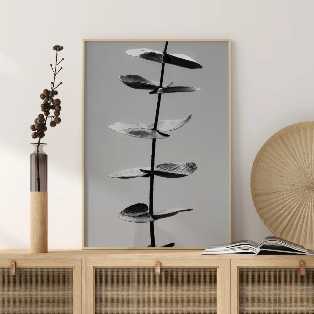 Eucalyptus Bw Juliste