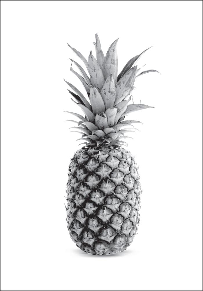 Pineapple Grey Juliste