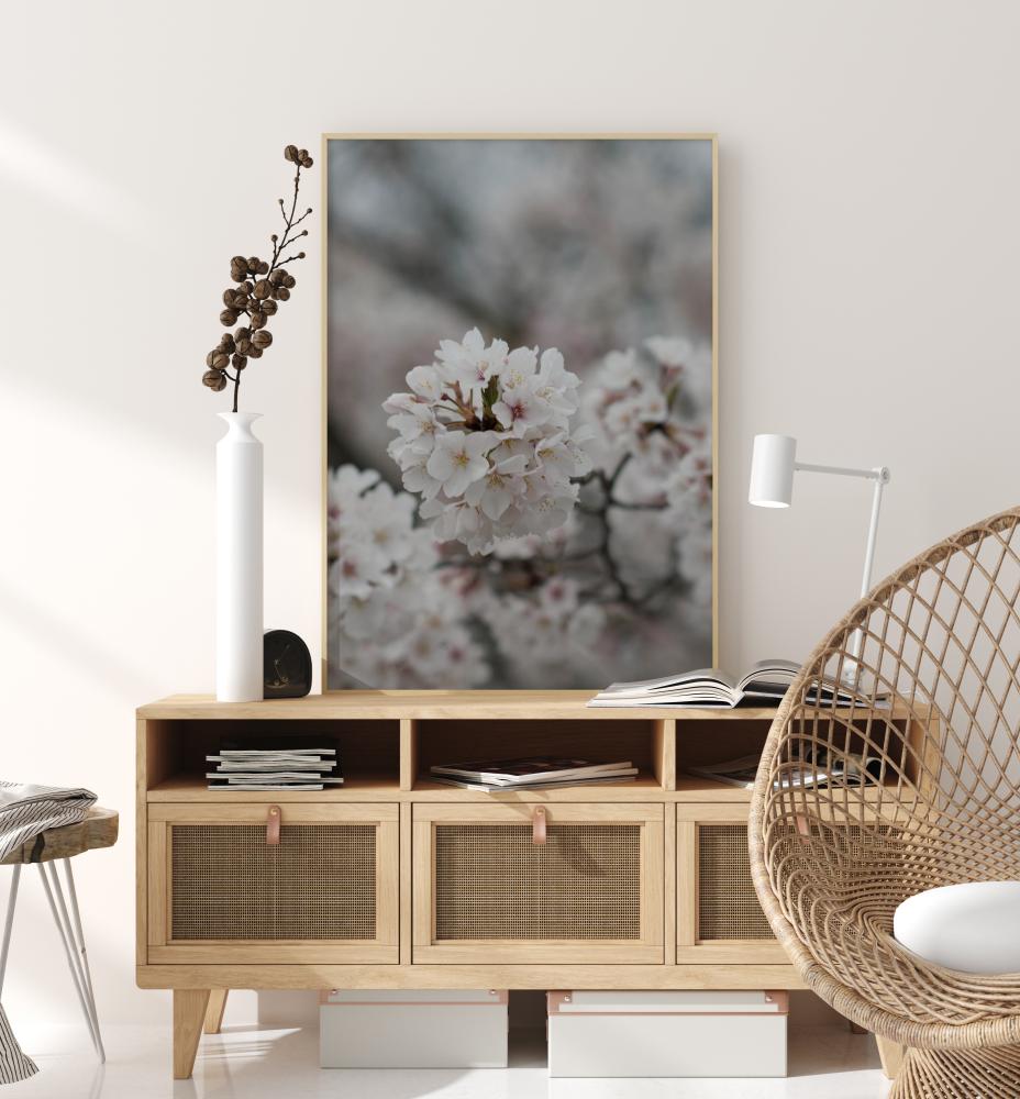 Cherryblossom Juliste