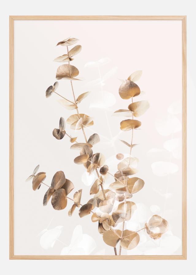 Eucalyptus Creative Gold II Juliste