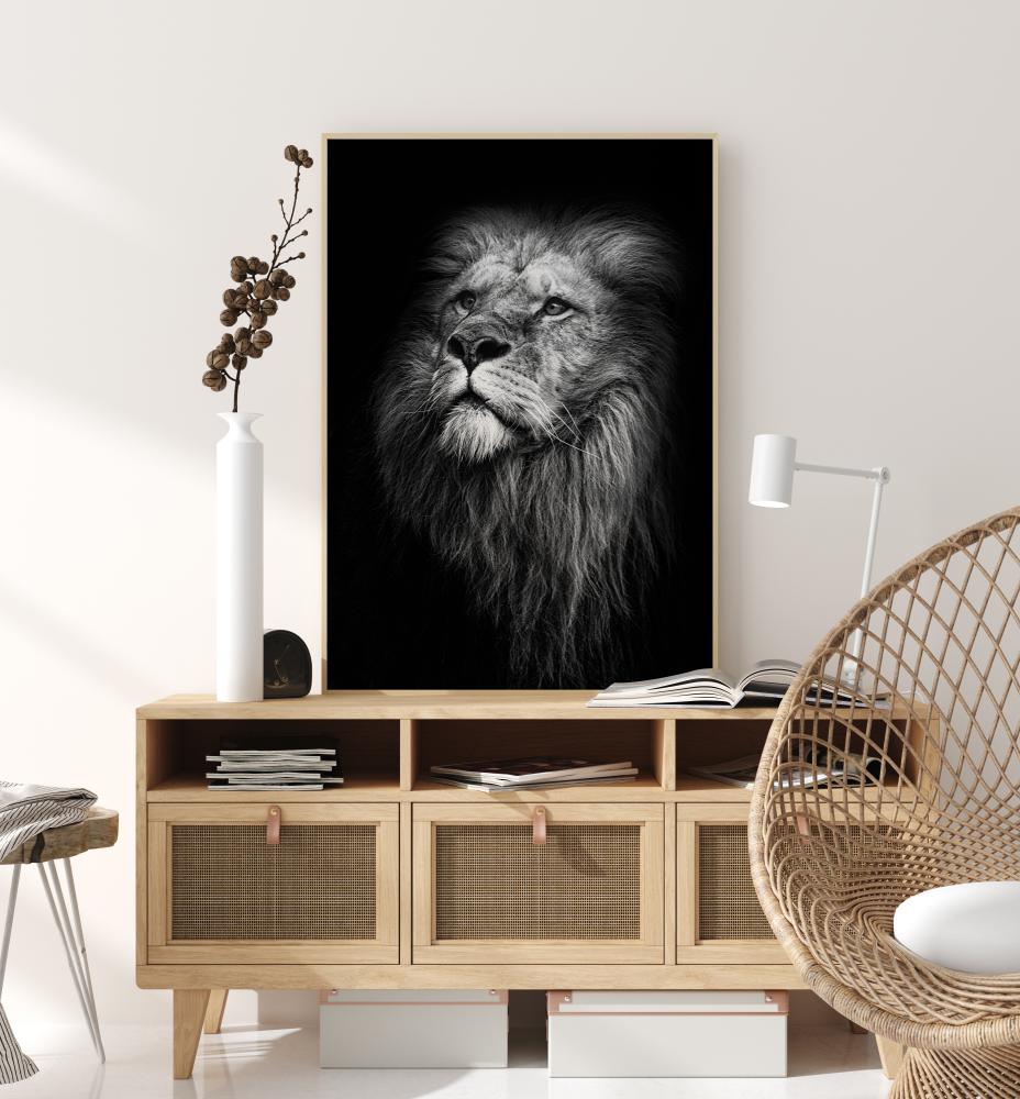 King Of Lions Juliste