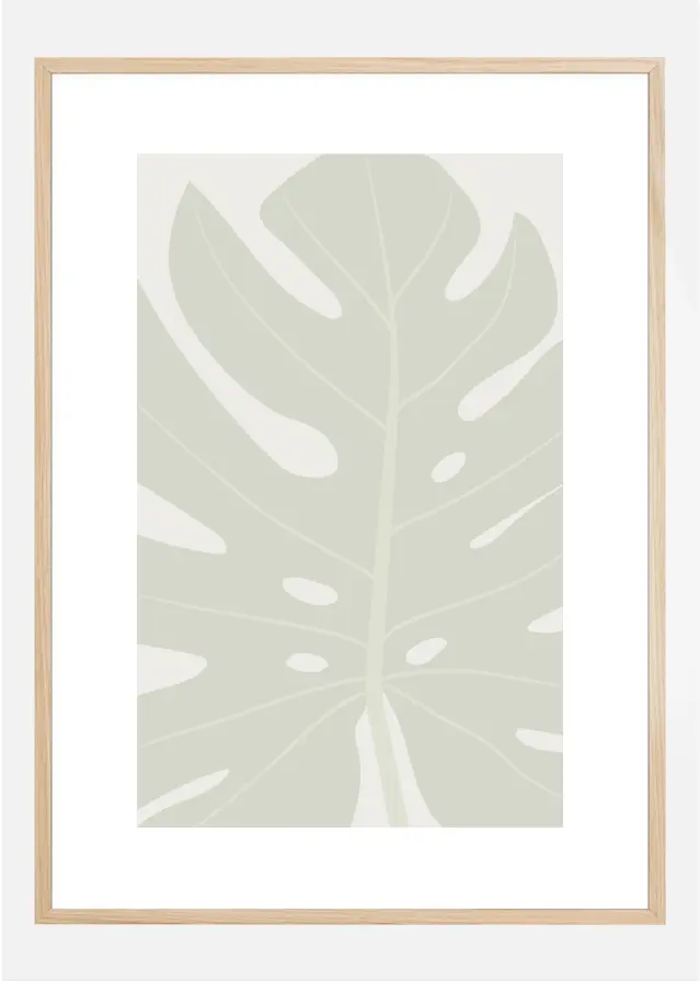 MONSTERA Juliste