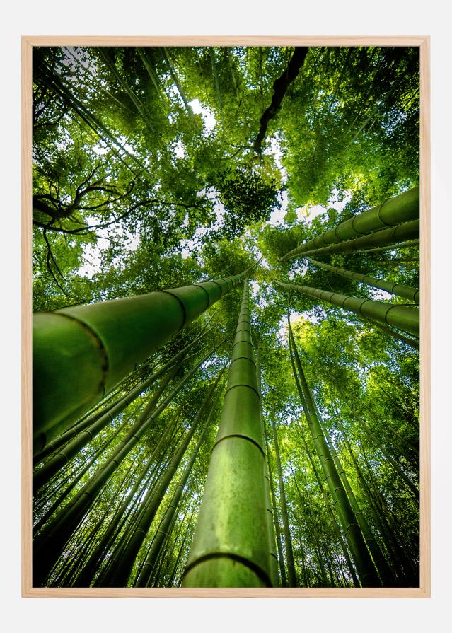 ARASHIYAMA Juliste