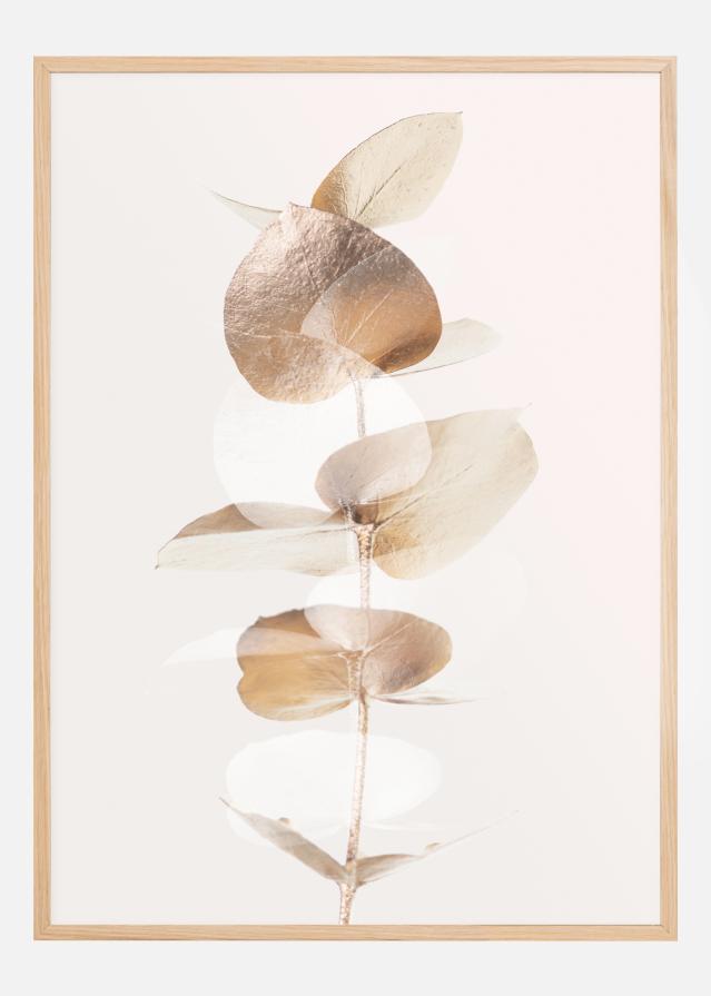 Eucalyptus Creative Gold III Juliste