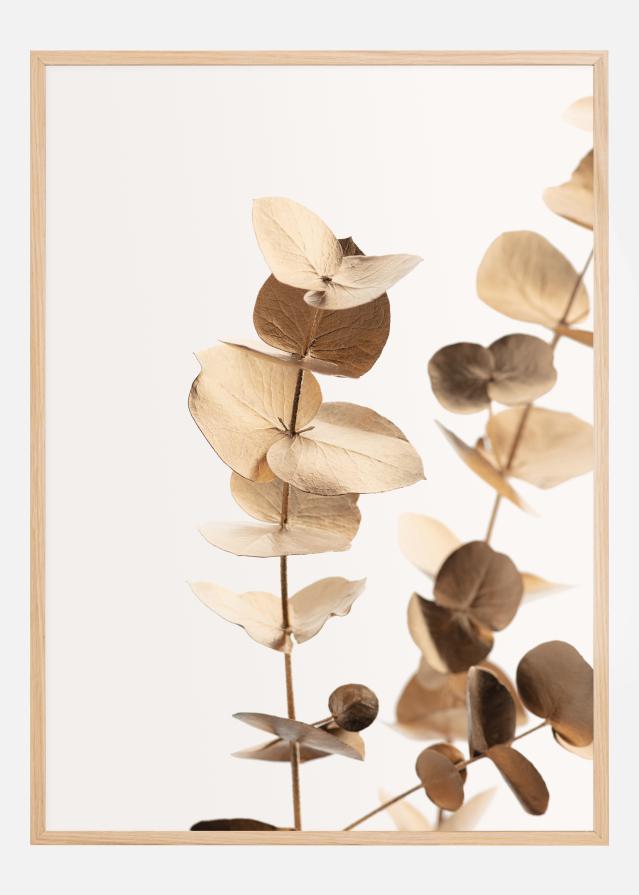 Eucalyptus Gold I Juliste