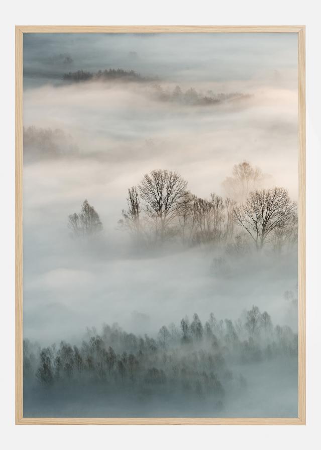 Winter Fog Juliste