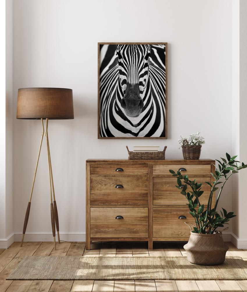 Zebra Juliste