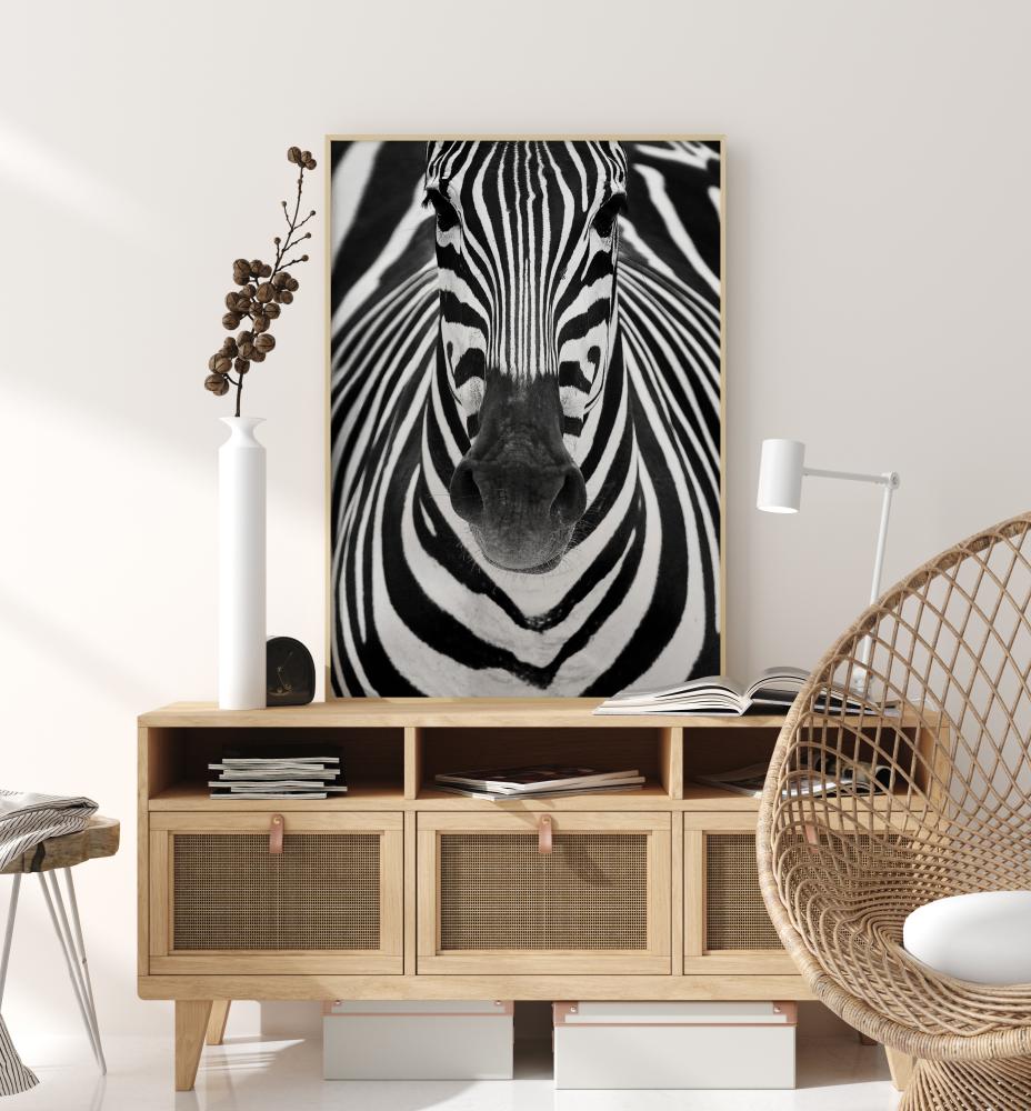 Zebra Juliste