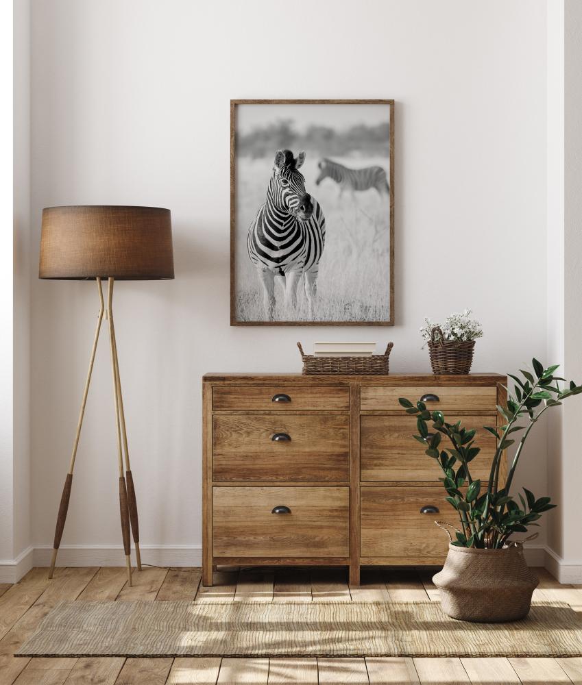 Zebra Bw Juliste