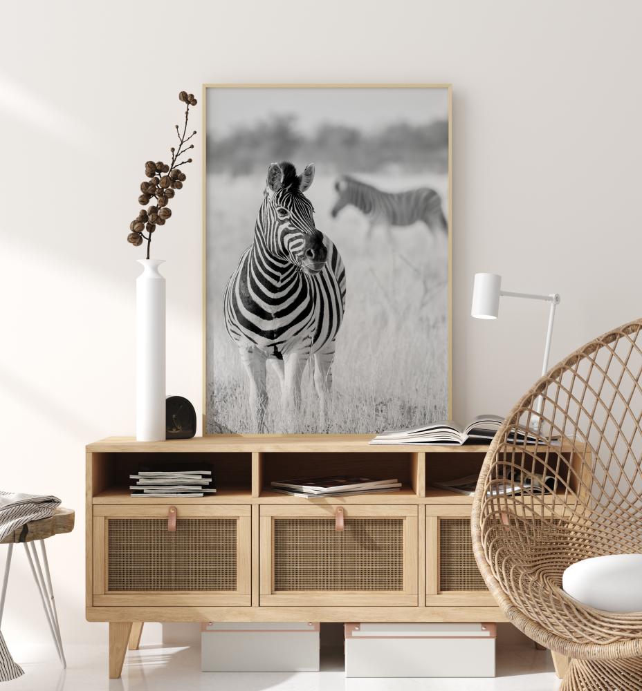 Zebra Bw Juliste