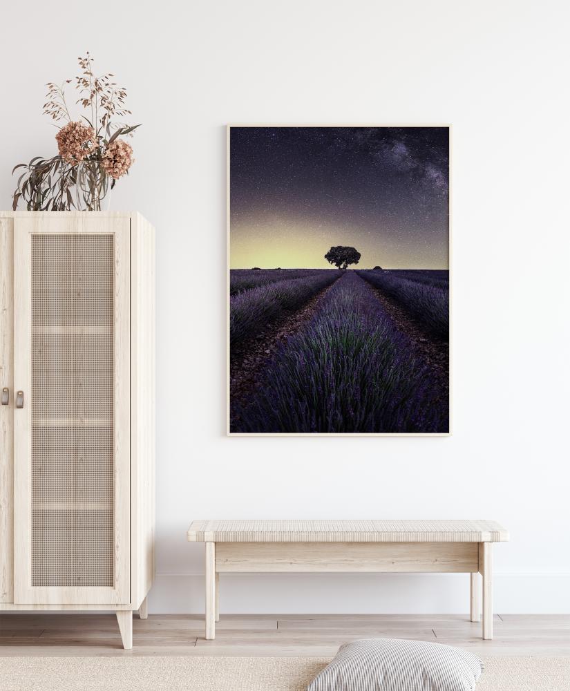 Lavender Fields Juliste