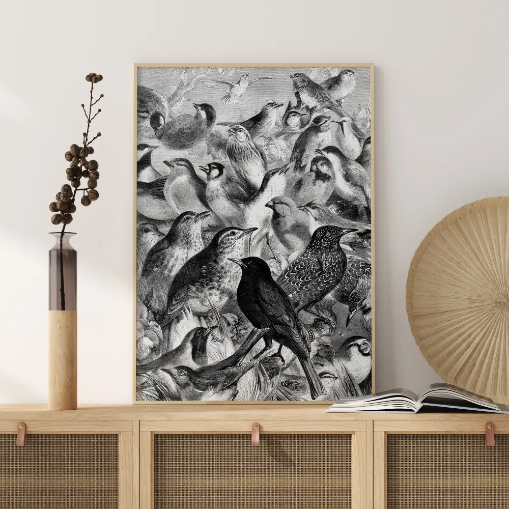 Birds Juliste