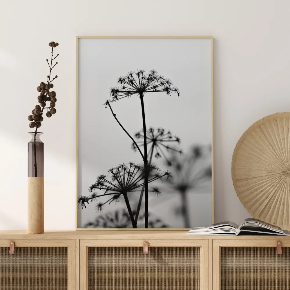 Black And White Flowers Juliste