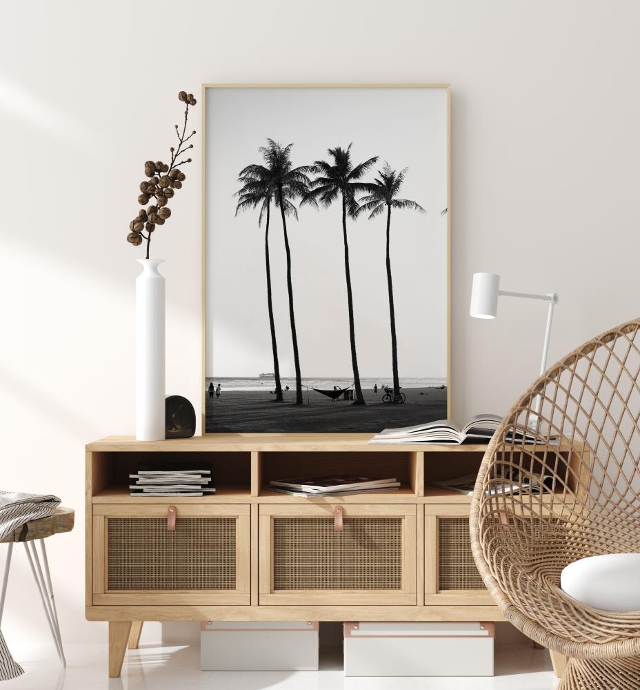 Black And White Palm Trees Juliste