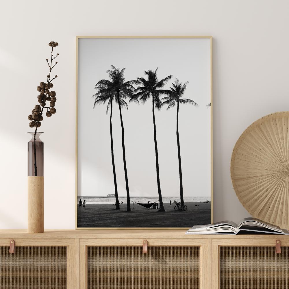 Black And White Palm Trees Juliste