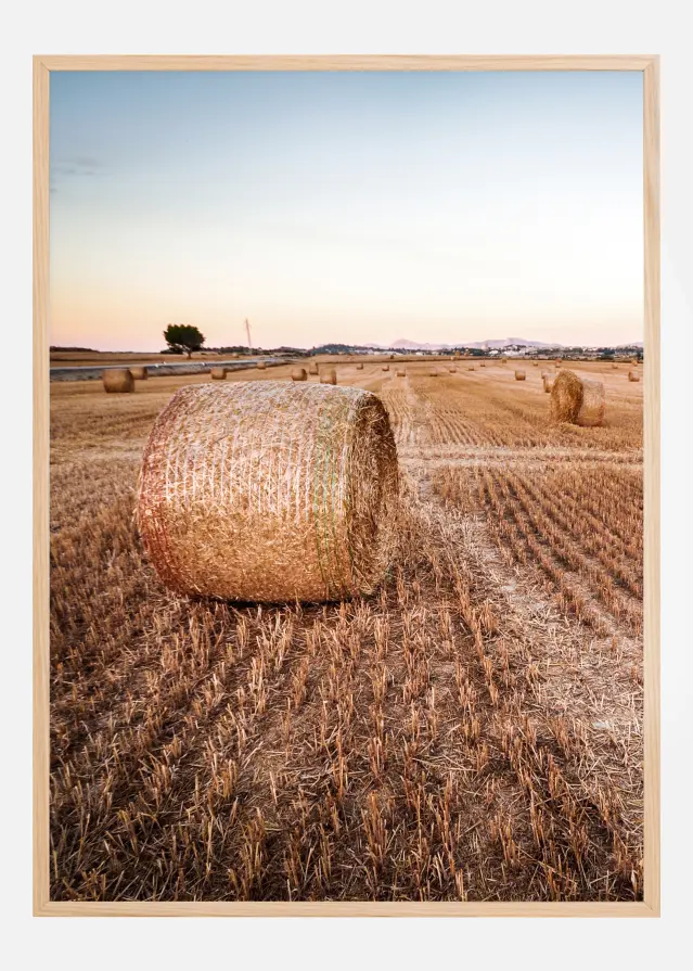 Hay Fields Juliste