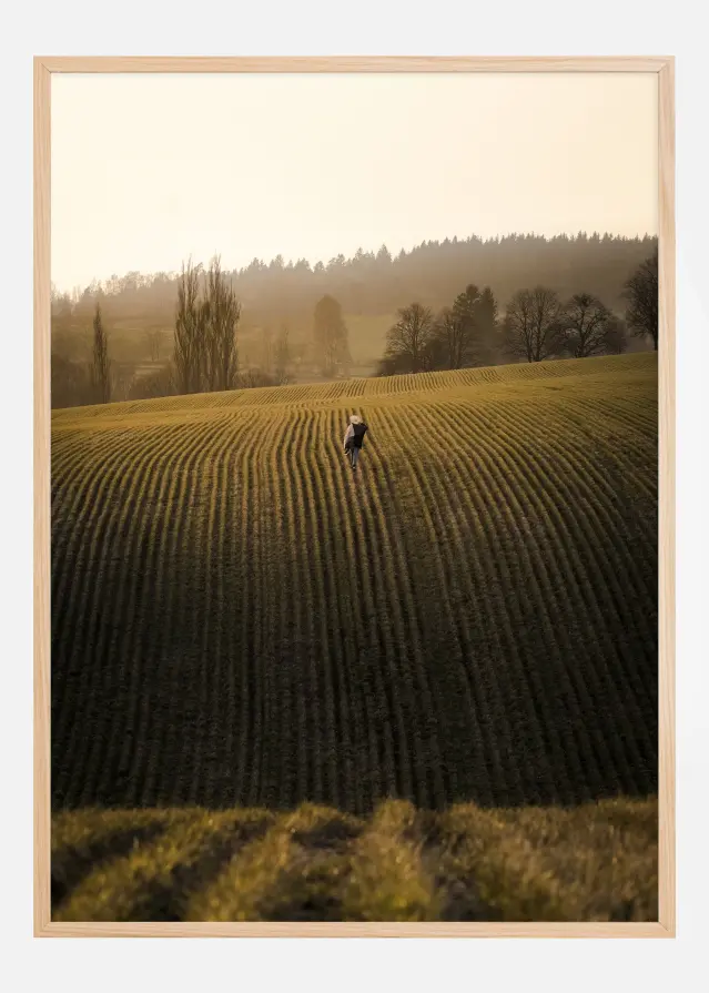 On the fields Juliste