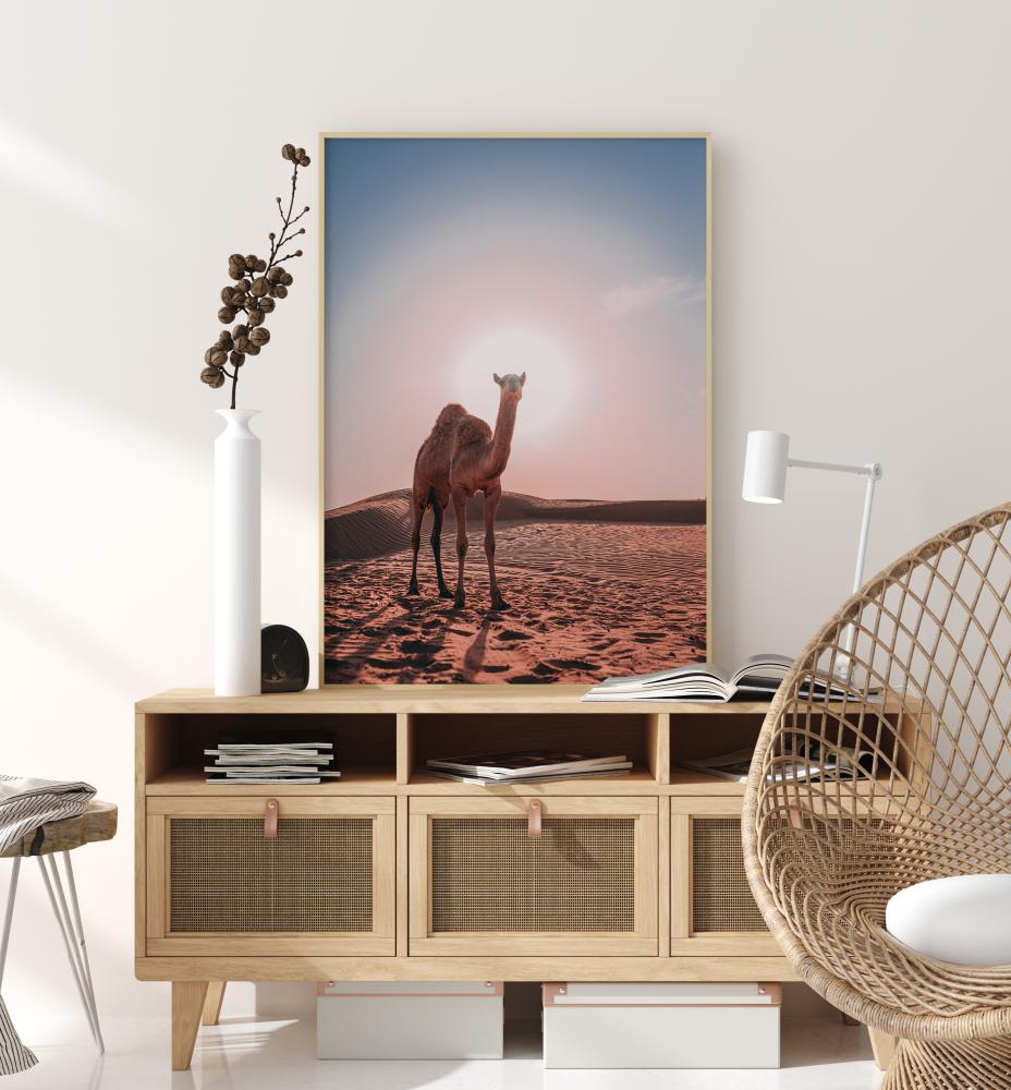 Camel Juliste