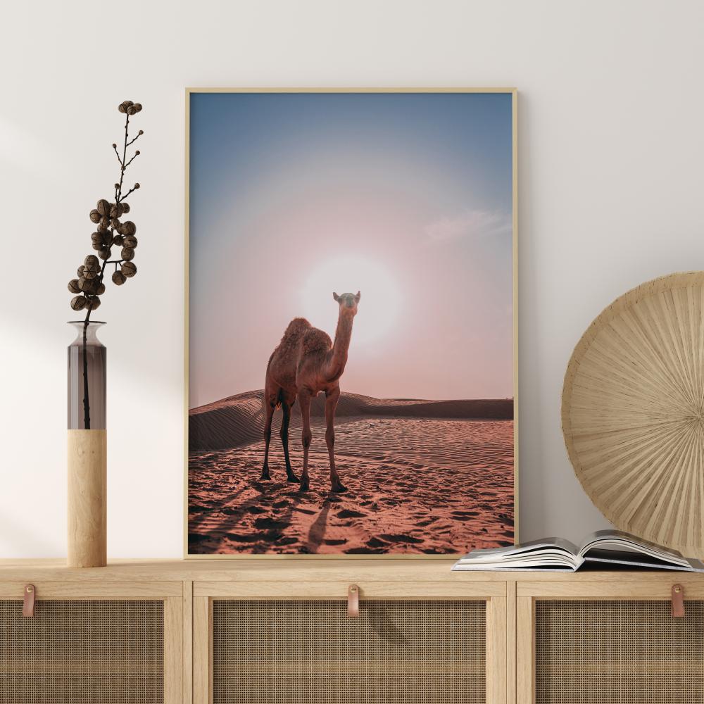 Camel Juliste